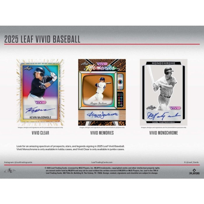 2025 Leaf Vivid Baseball Hobby Box